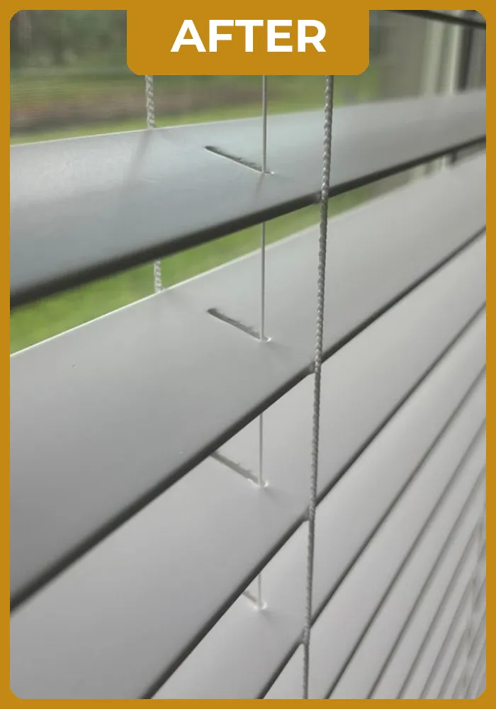 mademoiselle-after-portifolio-02