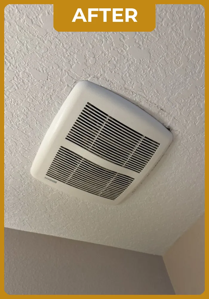 mademoiselle-after-portifolio-08