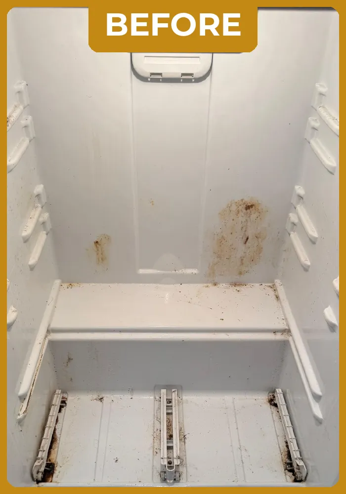 mademoiselle-before-portifolio-01