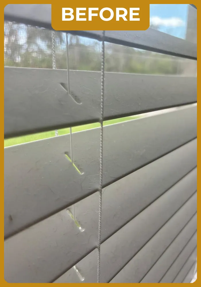 mademoiselle-before-portifolio-02