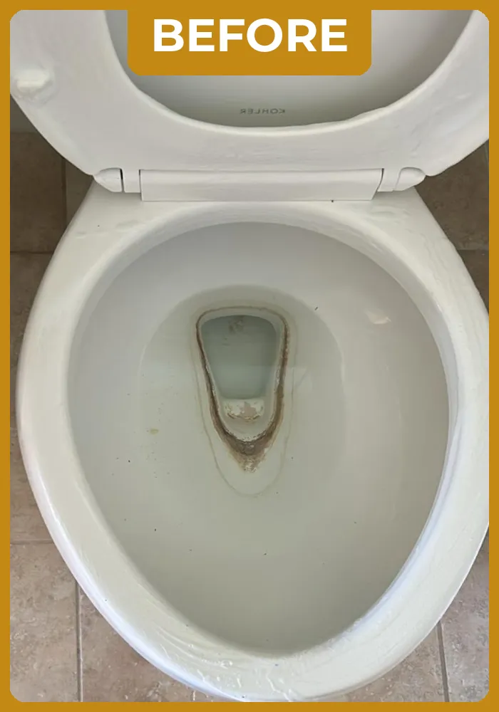 mademoiselle-before-portifolio-05