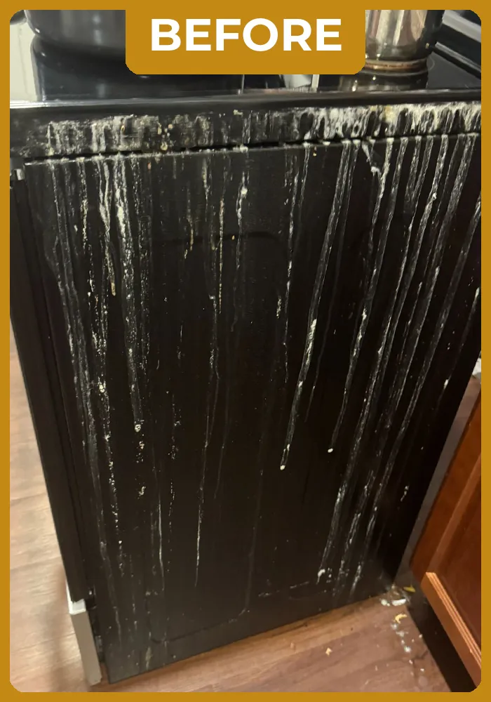 mademoiselle-before-portifolio-06