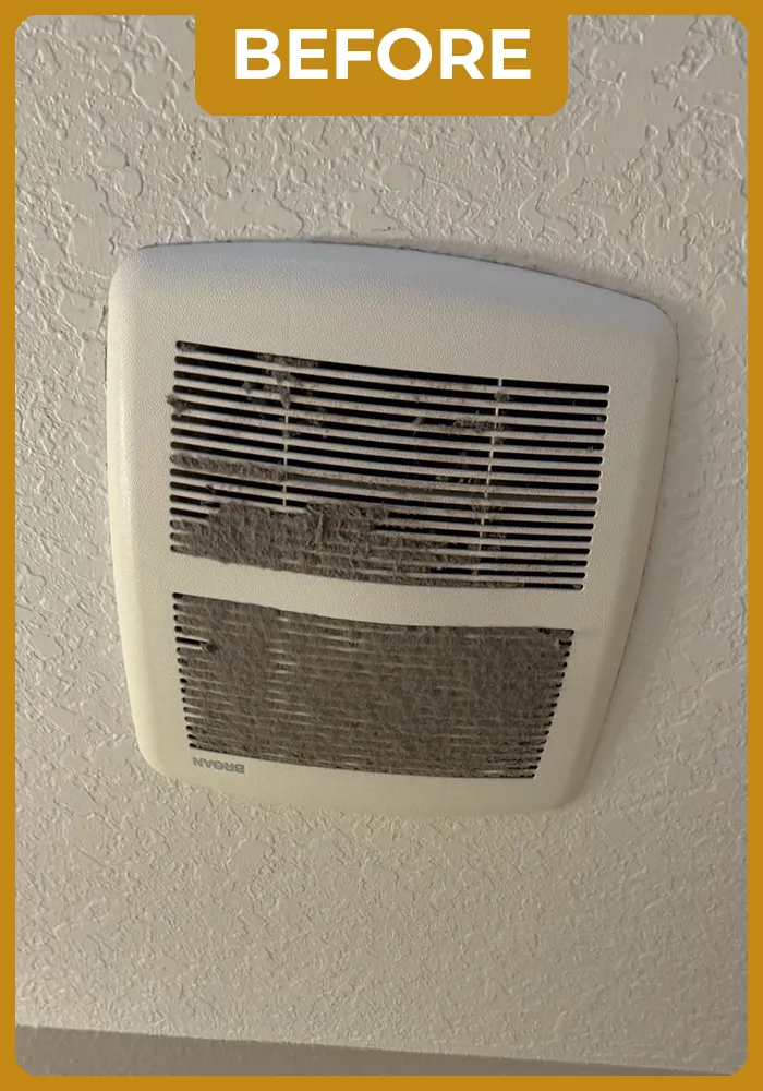 mademoiselle-before-portifolio-08